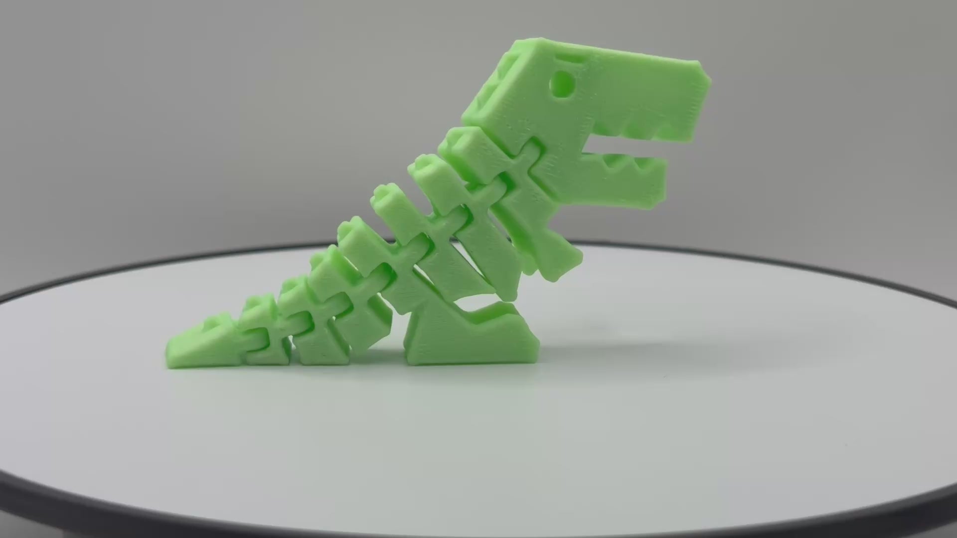 Flexi Rex Coupe du Monde 2026 Belgique